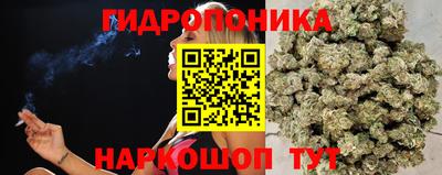 СК Ипатово